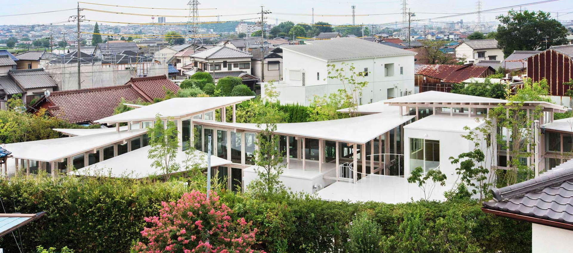 A green atmosphere. House surrounded by the hedges by Studio
