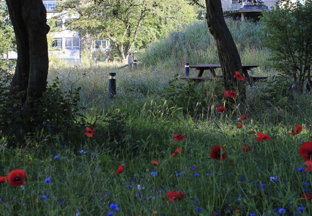 Grønningen-Bispeparken by SLA. Photograph by Philip von Platen