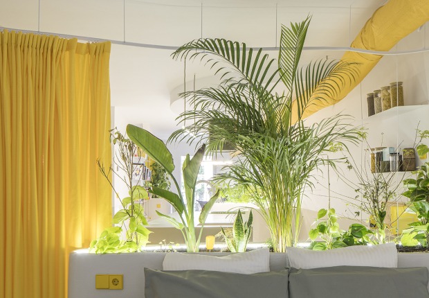 Corrigan estudio por Corrigan Arquitectos. Fotografía por Imagen Subliminal 