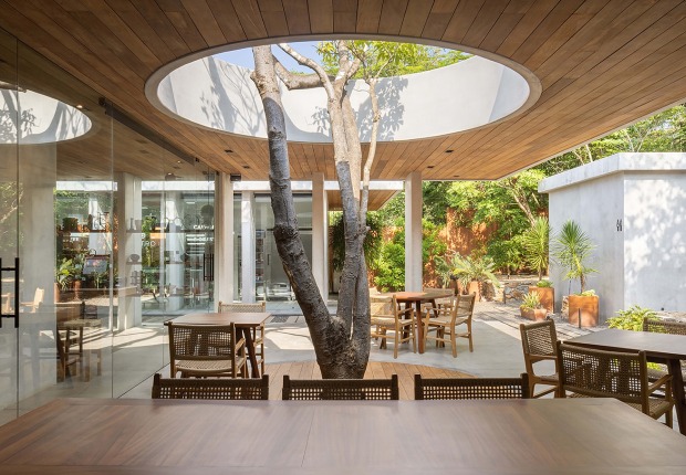 "Cuattro Casa de Café" by Faci Leboreiro. Photograph by Rafael Gamo
