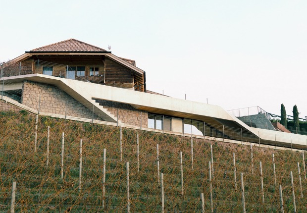 Conte House by Messner Architects. Photograph by Karina Castro