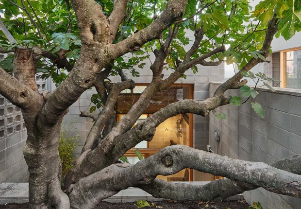 Casa de la Higuera por Comas-Pont arquitectes. Fotografía por Adrià Goula