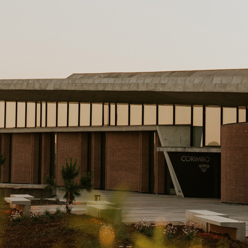 Bodegas La Horra por Carme Pinós. Fotografía por La Cueva Estudio