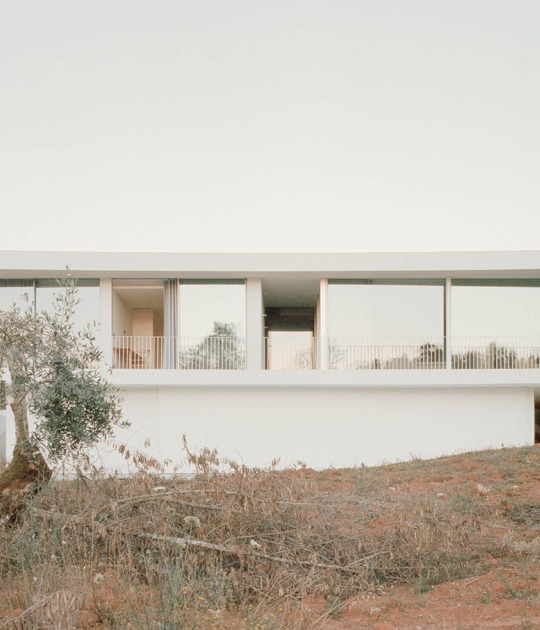 Moita Santa House by Bruno Dias Arquitectura. Photograph by Hugo Santos Silva