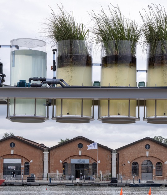 Canal Cafè Bar, by Diller Scofidio + Renfro. Photograph by Marco Zorzanello