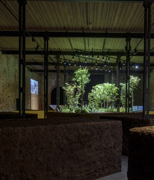 Pabellón de México. Chinampa Veneta. XIX Exposición Internacional de Arquitectura de La Biennale di Venezia. Fotografía por Andrea Avezzù. Cortesía por La Biennale di Venezia
