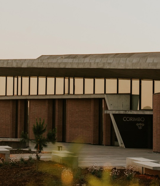 Bodegas La Horra by Carme Pinós. Photograph by La Cueva Estudio