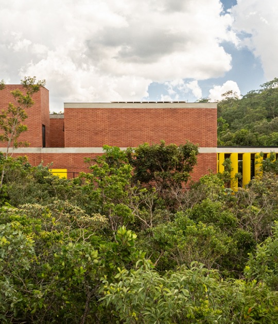 Casa de los 7 árboles por Hersen Mendes Arquitetura. Fotografía por Joana França