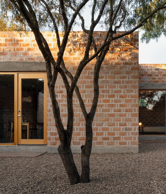 Casa Finlandia por Escobedo Soliz. Fotografía por Ariadna Polo