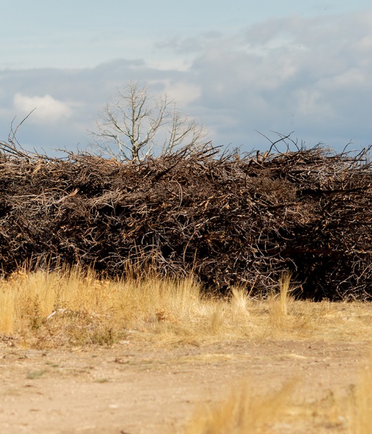 Socarrado por Nomad Studio. Fotografía por Almudena Cadalso