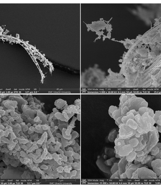 El renacimiento del amianto. 09.ED.15 REDUX por Besley & Spresser. Proceso de descomposición del amianto. Imágenes cortesía de Asbeter