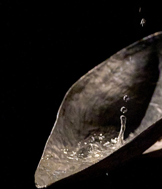 Lengua en coro, cuenta by Cristina Mejías. Photograph by Fernando Tribiño 