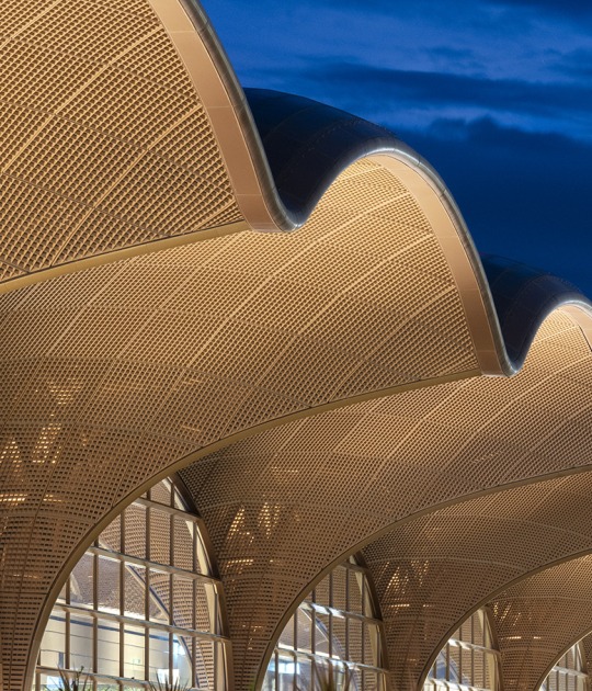 Techo International Airport by Foster + Partners. Phorograph by Nigel Young