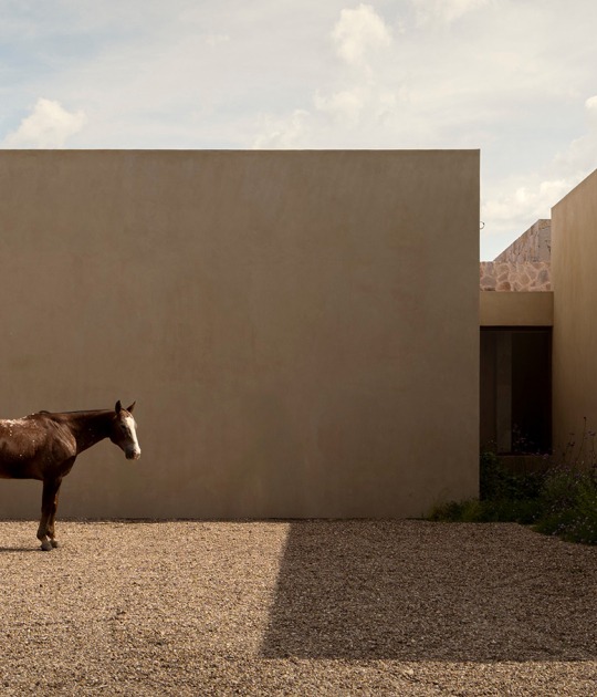 "Casa San Francisco" by Jorge Garibay Architects. Photograph by Cesar Belio