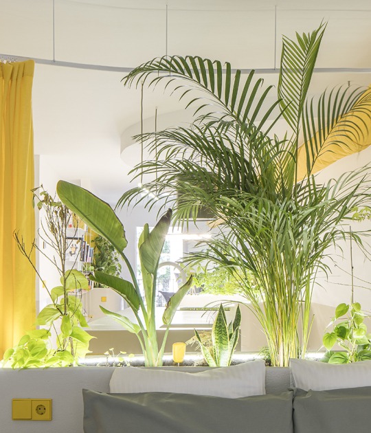 Corrigan studio by Corrigan Arquitectos Photograph by Imagen Subliminal