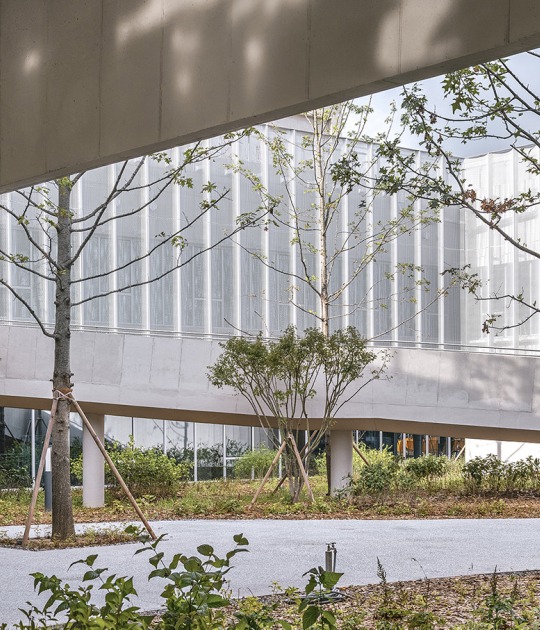 Centro de Cuidados y Bienestar por Sol89 + Jongjin Lee. Fotografía por Bojune Kwon