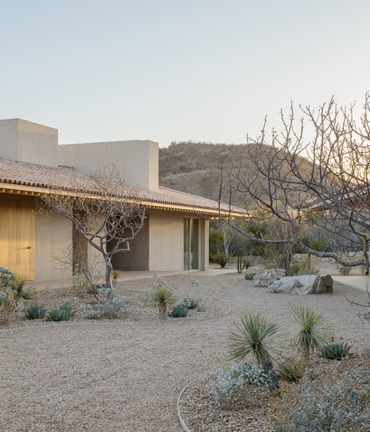 House in Palmilla by Estudio IUAPdA. Photograph by  Ignacio Urquiza Luna Parra
