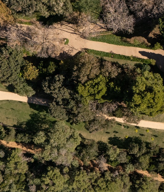 Theater in the Gardens of Santa Clotilde by Scob. Photograph by Judith Casas