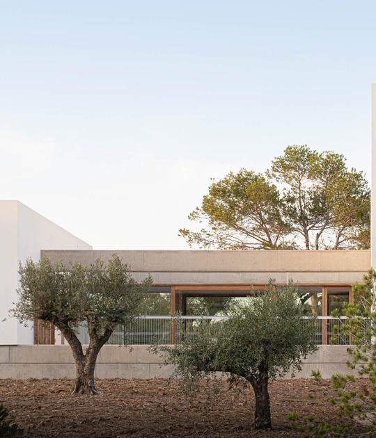 Ses Clotades by Marià Castelló. Photograph by Marià Castelló