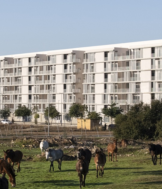 125 viviendas de protección oficial por Daroca Arquitectos + Práctica Arquitectura. Fotografía por Fernando Alda 