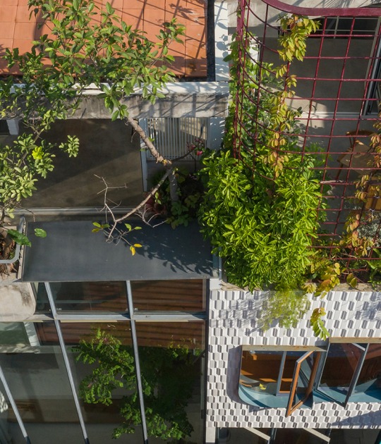 TH+ house by ODDO architects. Photograph by Hoang Le photography 