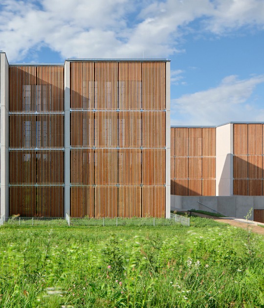 Viviendas de Madera Žďár por Kuba & Pilař architekti. Fotografía por BoysPlayNice