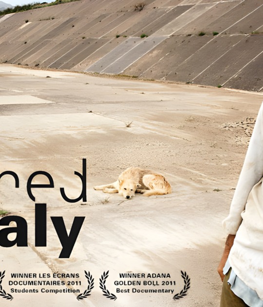 Poster. UNFINISHED ITALY by Benoit Felici