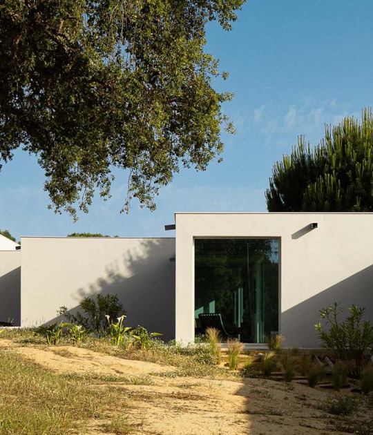 M Ariane House House by Sabrab Architecture. Photograph by Ivo Tavares Studio