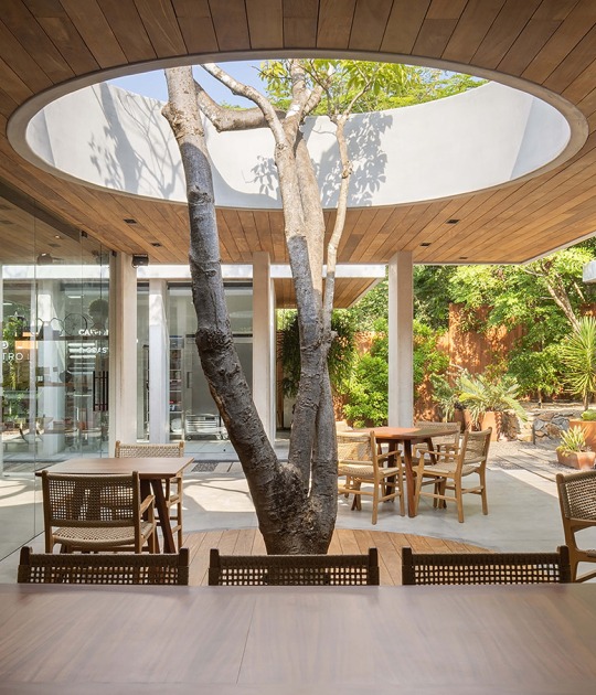 "Cuattro Casa de Café" by Faci Leboreiro. Photograph by Rafael Gamo