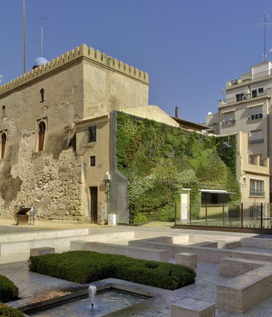 Exterior view. Cafeteria within a green wall by Antonio Maciá Mateu. Photography © David Frutos