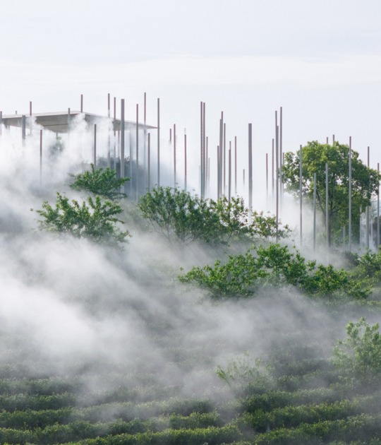«Salón de té en la nube» por PLAT ASIA. Fotografía por Arch-Exist Photography
