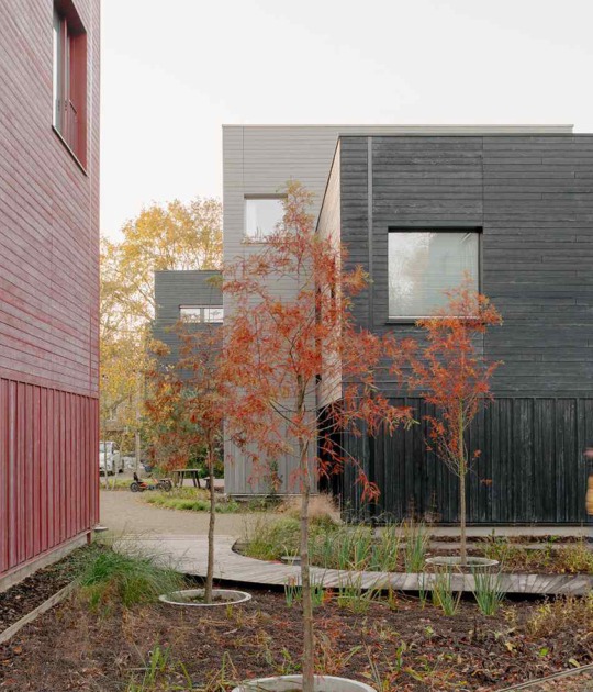 «Common Woods» por Space&Matter. Fotografía por Riccardo De Vecchi