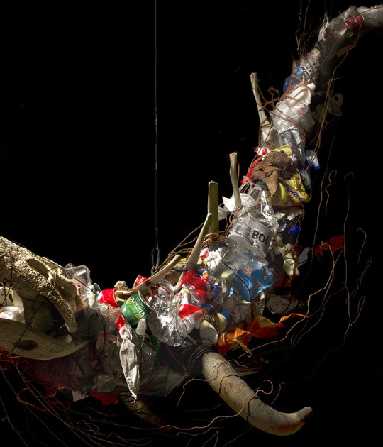 Animal Marino (2013). Estructura colgante que evoca un marino que mide 2,3m x 1,5m. Cráneo de cocodrilo, astas deAnimal Marino (2013). Estructura colgante que evoca un marino que mide 2,3m x 1,5m. Cráneo de cocodrilo, astas de toro, vértebras de vacuno, alambre y basura. Exposición «Vida Tóxica. Somos naturaleza en evolución tóxica». Fotografía por Carlos Bellvehí