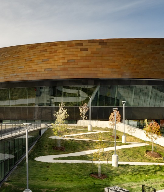 Coronation Park by HCMA + Dub Architects + FaulknerBrowns. Photograph by Nic Lehoux