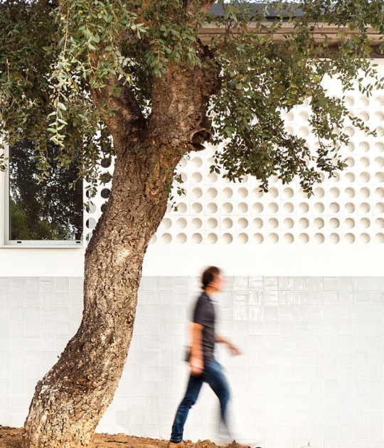 La Sauleda Social Center by Sarquella Torres + Marc Riera. Photograph by Joan Guillamat
