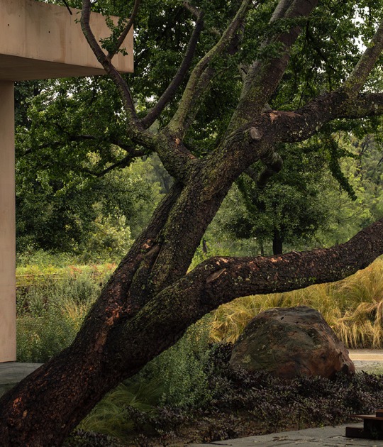 Bosquet por Perimetral + AE Arquitectos. Fotografía por Jesús López Cinco