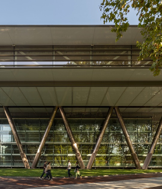 Expansion of the Bilbao Fine Arts Museum by Foster + Partners. Photograph by Nigel Young / Foster + Partners.