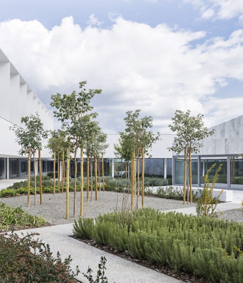 Headquarters and Auditorium for the University of Málaga by alcolea+tárrago / Roberto Ercilla. Photograph by Javier Callejas