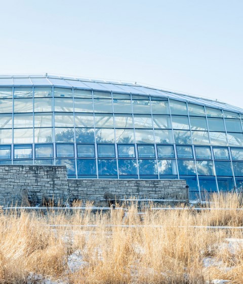  Contemporary View (winter 2020) of the Display house and base of retaining walls viewed from the east. Photograph by Richard Seck 