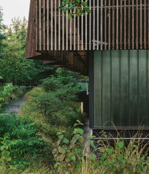The Wood That Makes Our Cities by Leclercq Associés. Photograph by Cyrille Weiner