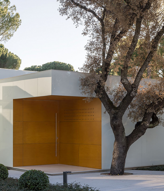 Casa entre pinos por Olalquiaga Arquitectos. Fotografía por Imagen Subliminal