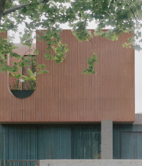 Glen Iris House by Pandolfini Architects. Photograph by Rory Gardiner