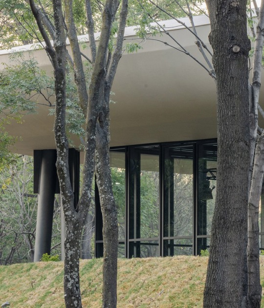 Garden and Scenic Pavilion in Chapultepec Forest by Parabase + Michan Architecture. Photograph by Arturo Arrieta