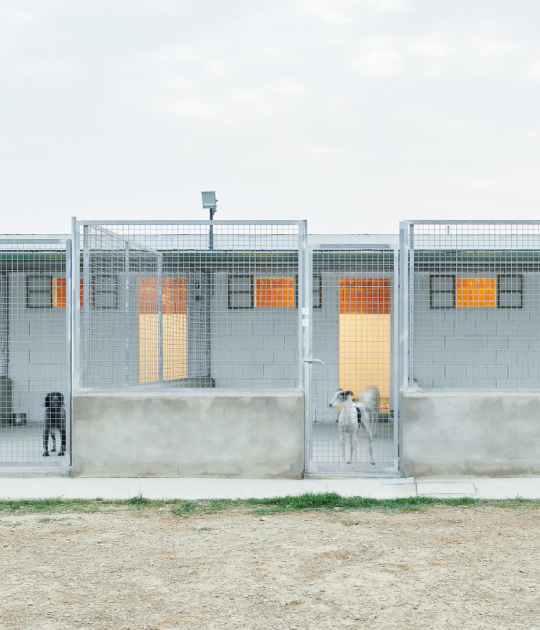 New animal shelter for ADPCA by Pérez + Usabiaga Arquitectura. Photograph by Iñaki Bergera