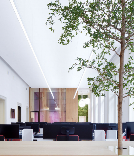 Headquarters of AON by PROGRES ATELIER. Photograph by Jakub Skokan, Martin Tůma / BoysPlayNice BoysPlayNice