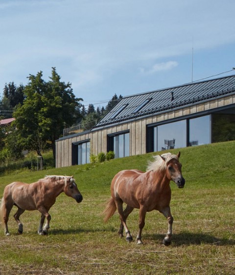 Casa familiar en Rašovka, en la cima de Ještěd por atelier SAD. Fotografía por BoysPlayNice