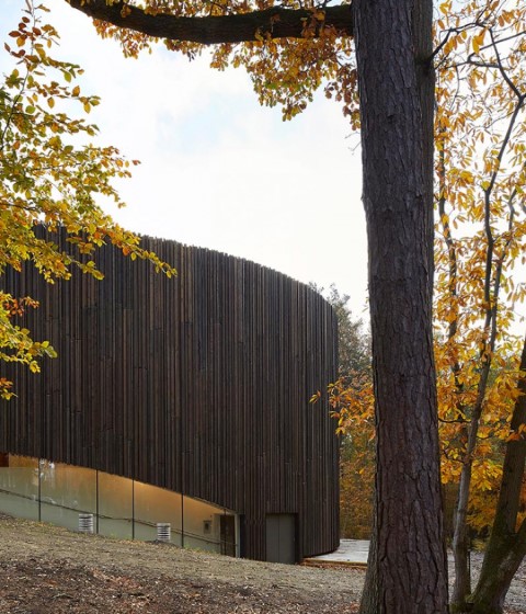 Performing Arts Centre at Wellington College by Studio Seilern Architects. Photograph by Hufton+Crow
