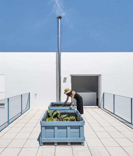 Casa RR by Vida Architecture and Matriz Arquitectura. Photograph by Jesus Granada