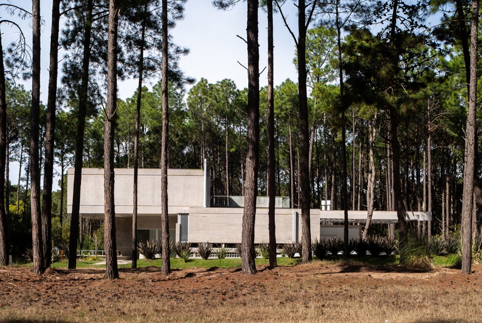 C&G House by Estudio Galera Arquitectura. Photograph by Diego Medina C&G House by Estudio Galera Arquitectura. Photograph by Diego Medina