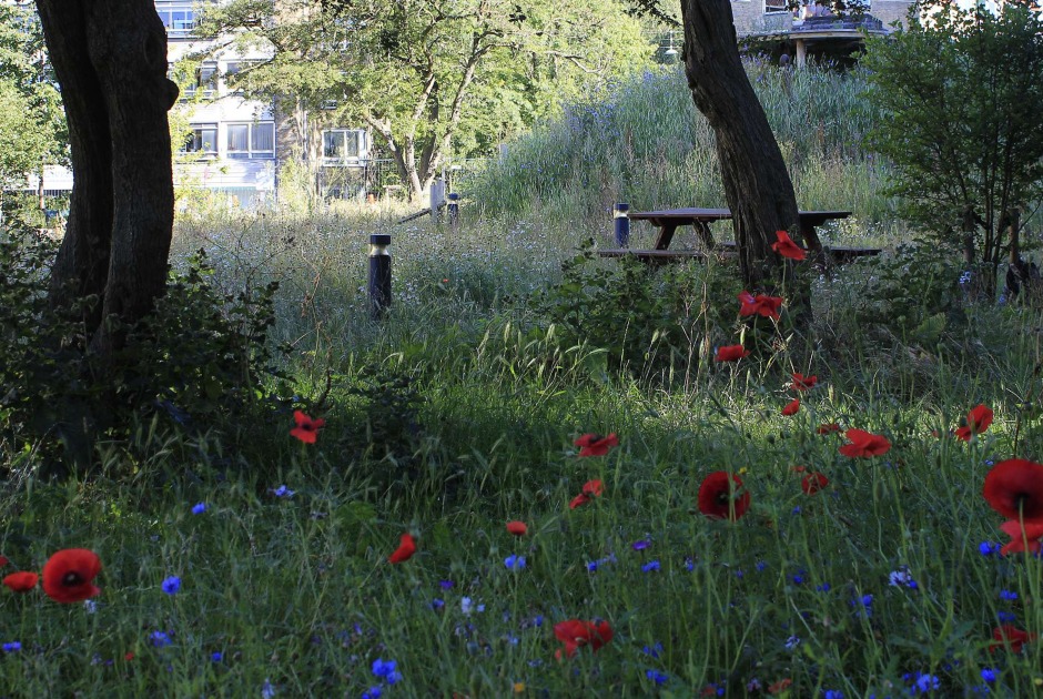 Grønningen-Bispeparken by SLA. Photograph by Philip von Platen